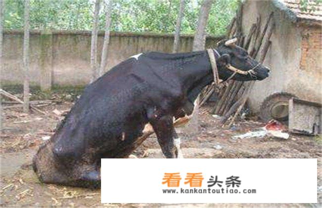 刚满一个月的宝宝喂奶是喂饱还是不喂饱？