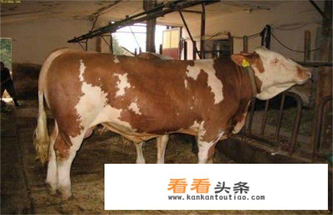 刚满一个月的宝宝喂奶是喂饱还是不喂饱？