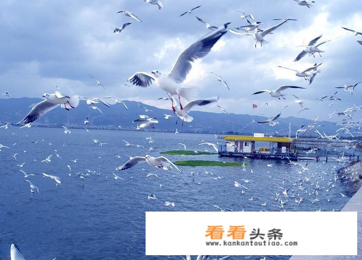 去云南坐高铁攻略？
