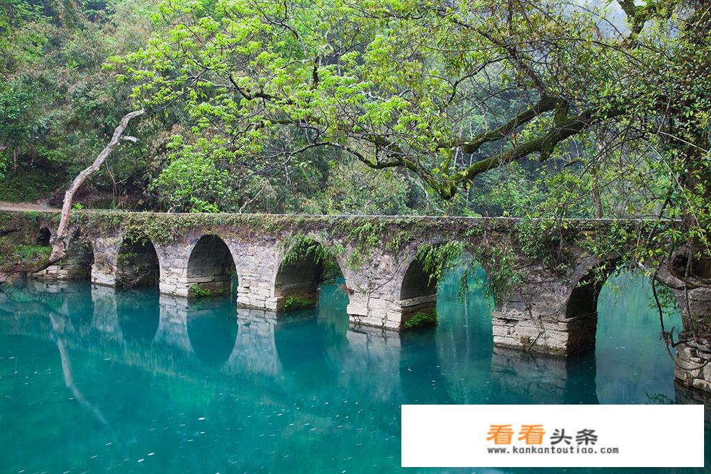 一般贵州学校的山地群落名称是什么？
