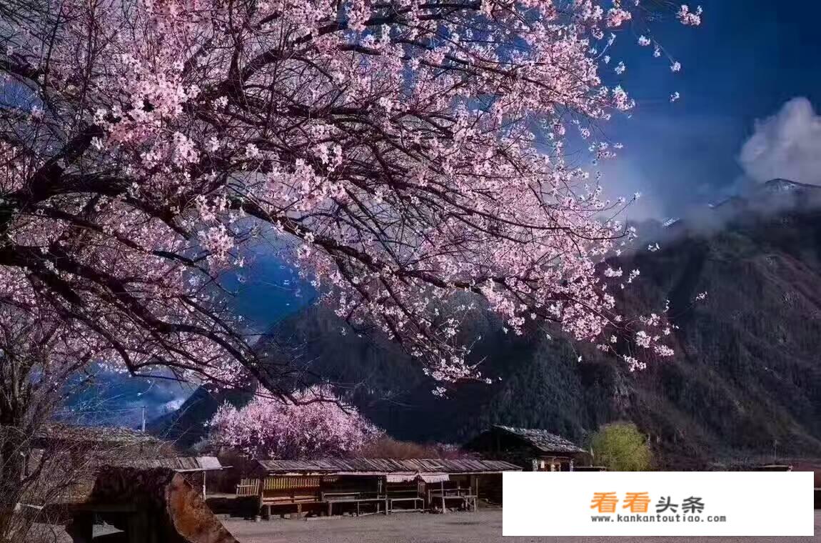 林芝旅游景点海拔多少？
