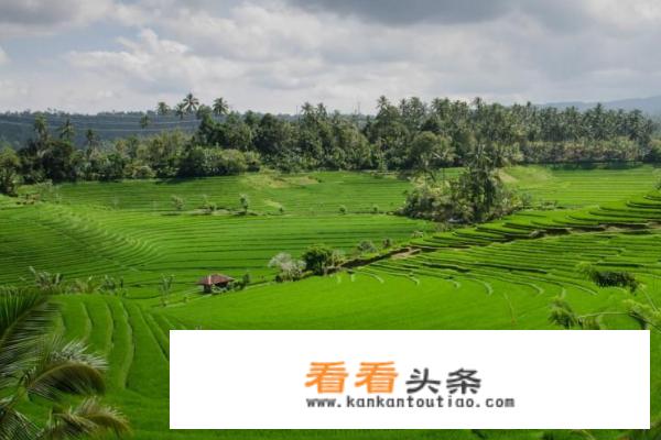 吉林市旅游发展总体规划？