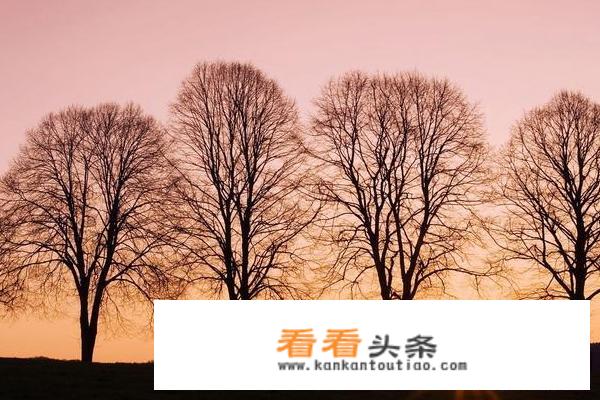 吉林市旅游发展总体规划？