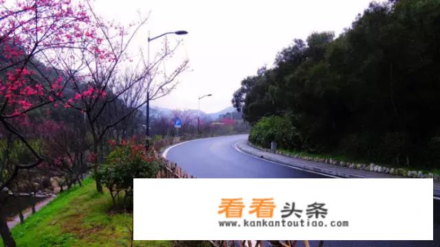 厦门适合拍婚纱照的地方有哪些？