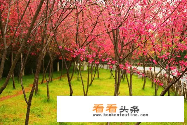 厦门适合拍婚纱照的地方有哪些？