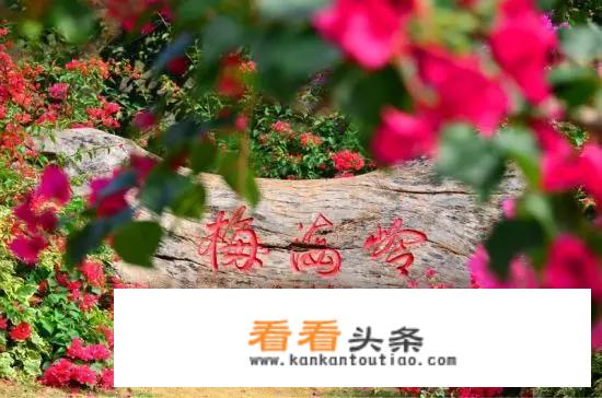 厦门适合拍婚纱照的地方有哪些？