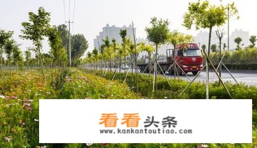 辛集旅游景点有什么？
