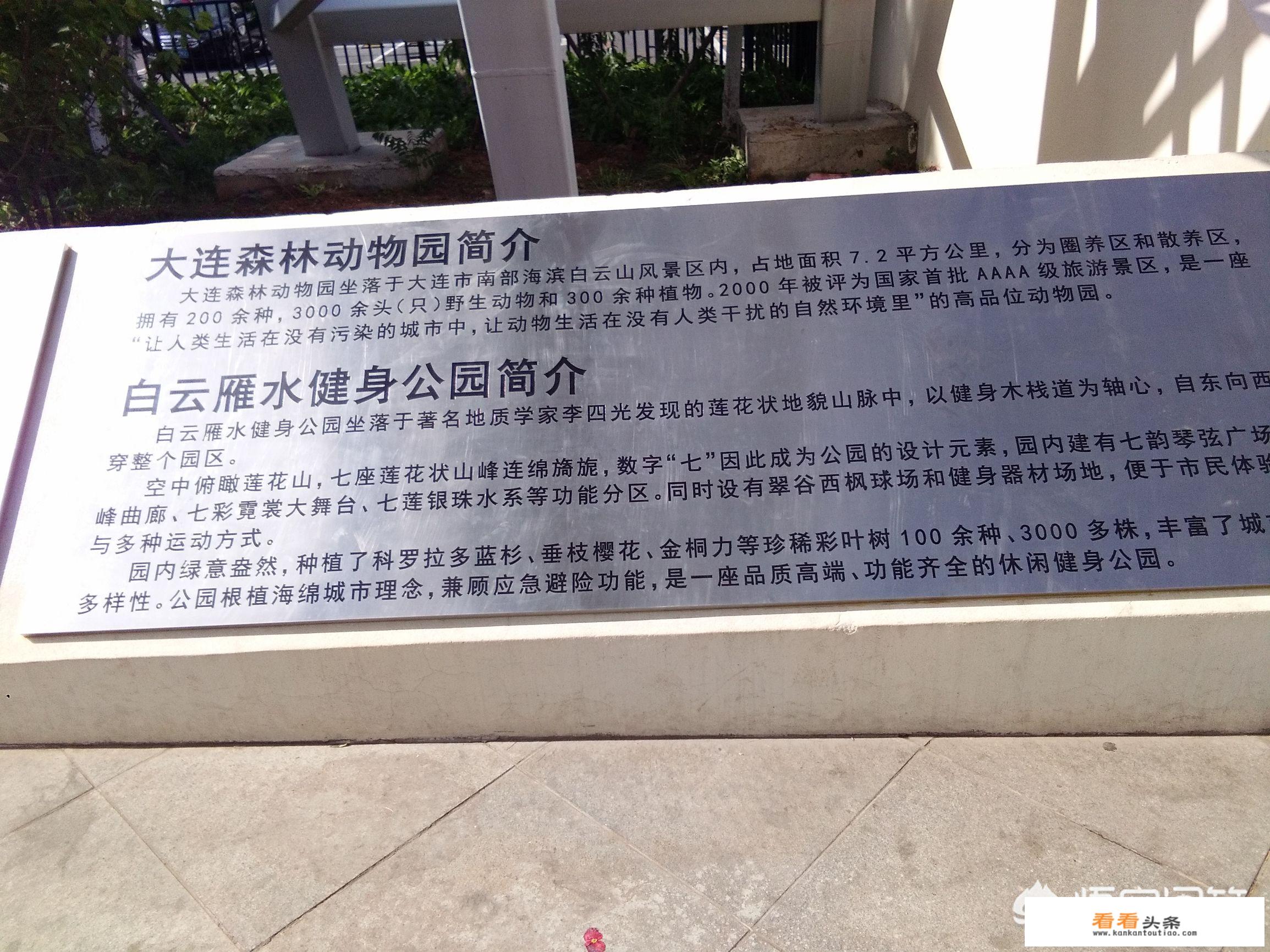 大连小众自驾游景点？