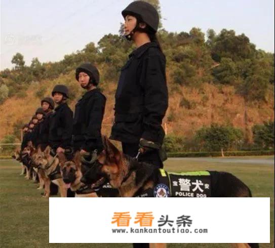云南最可怕的野生动物？