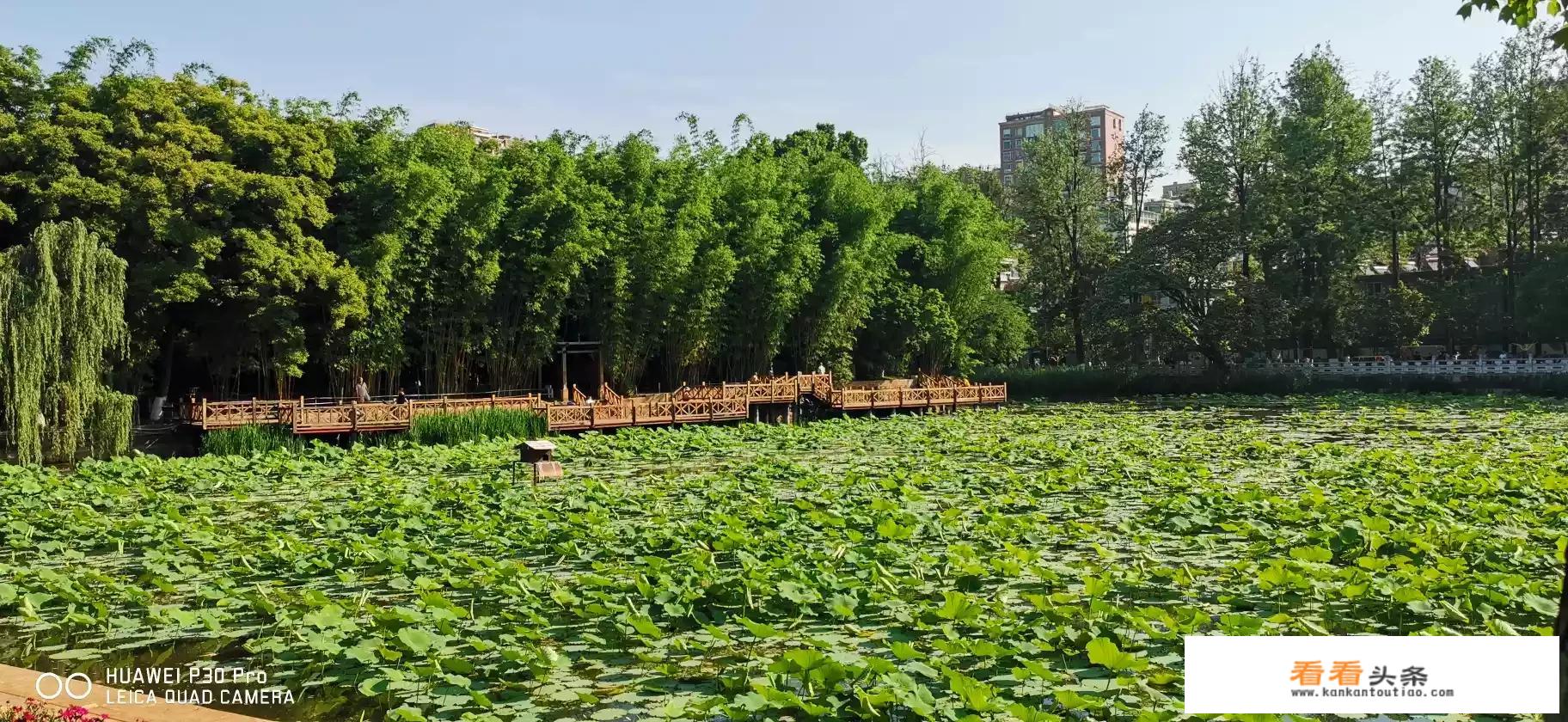 昆明周边六月值得去的地方？