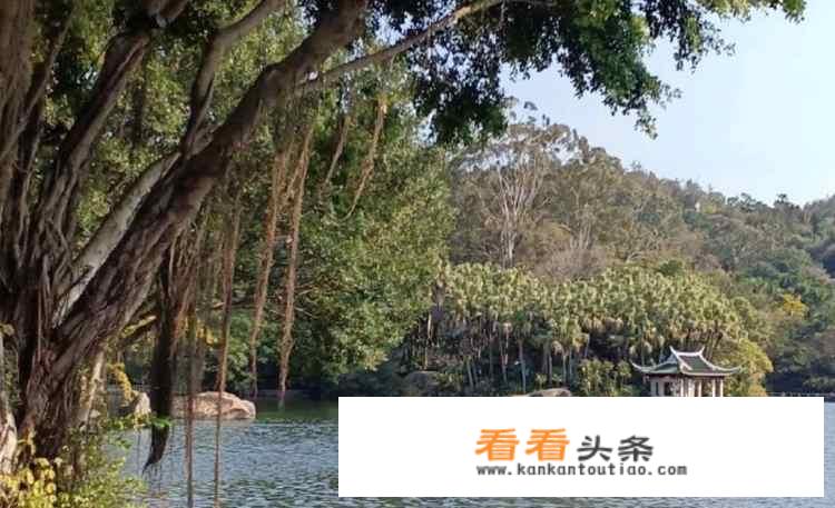 南通的江南四大名镇？