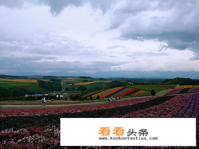 我想元旦时候去日本，那几天日本适合旅游吗？