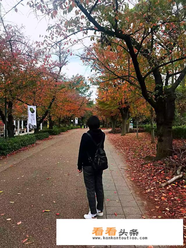 我想元旦时候去日本，那几天日本适合旅游吗？
