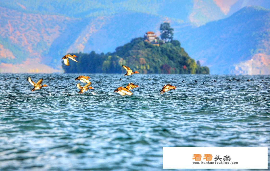 云南旅游注意事项？