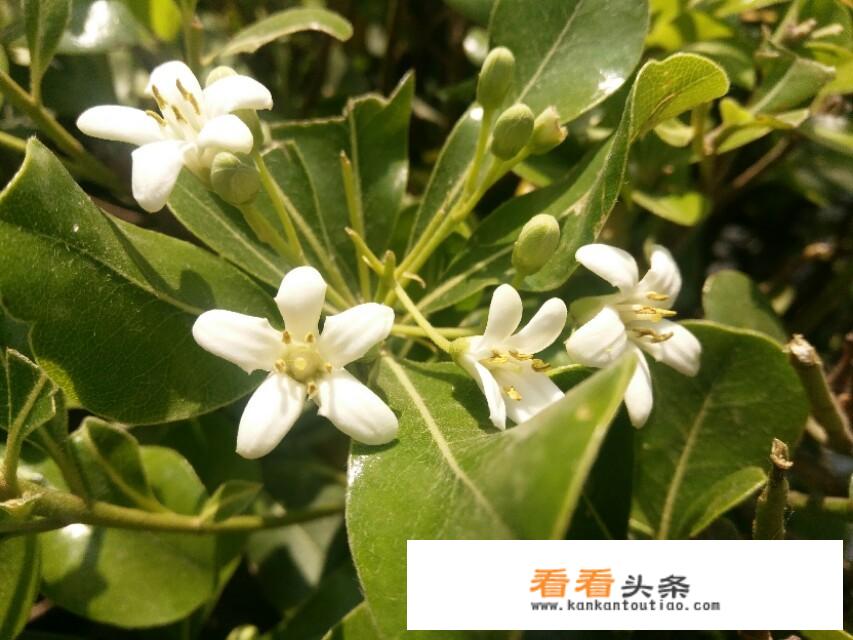 去甘肃旅游必备品？