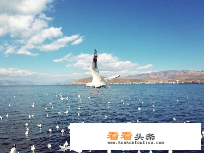 大理洱海半天怎么玩？