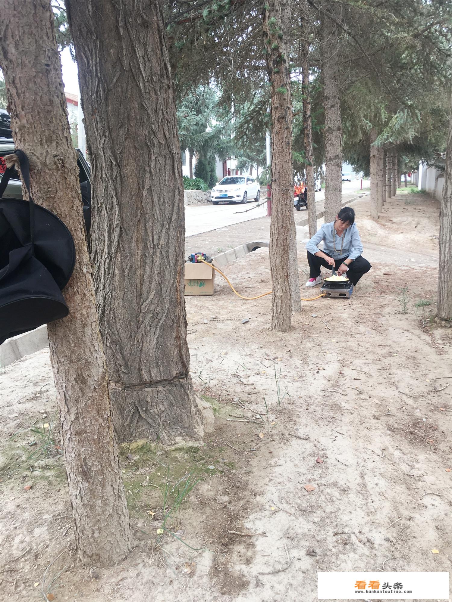 到新疆，自驾游什么样的炉具不让带？
