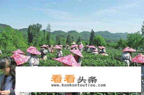研学旅行对孩子们的教育有什么益处？
