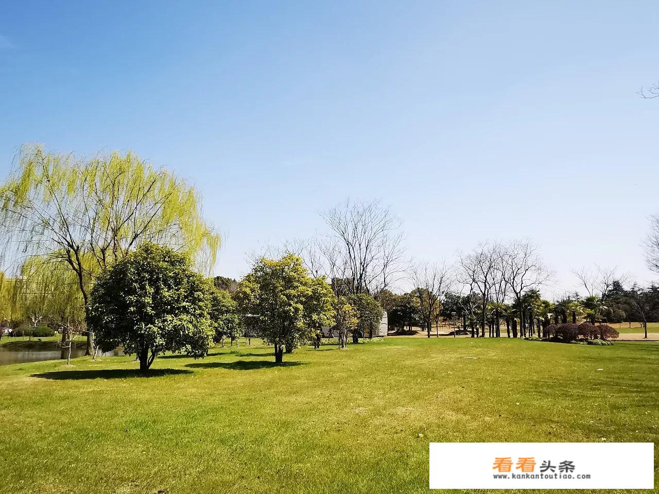 休闲旅游的更佳方式？