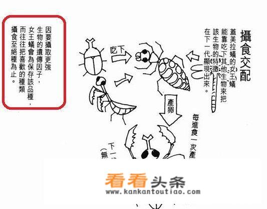 “ *** 猎人”第二部是否会出？请问几时出？