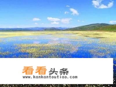 到甘南旅行穿什么颜色衣服好看？