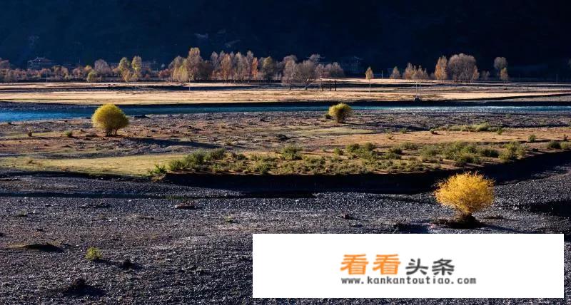 2021年旅游业的国内市场需求？