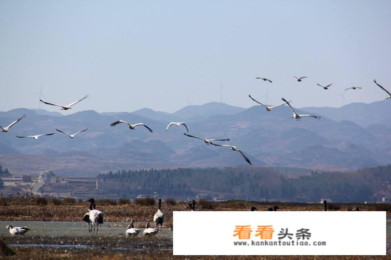 贵阳旅游必带物品清单？