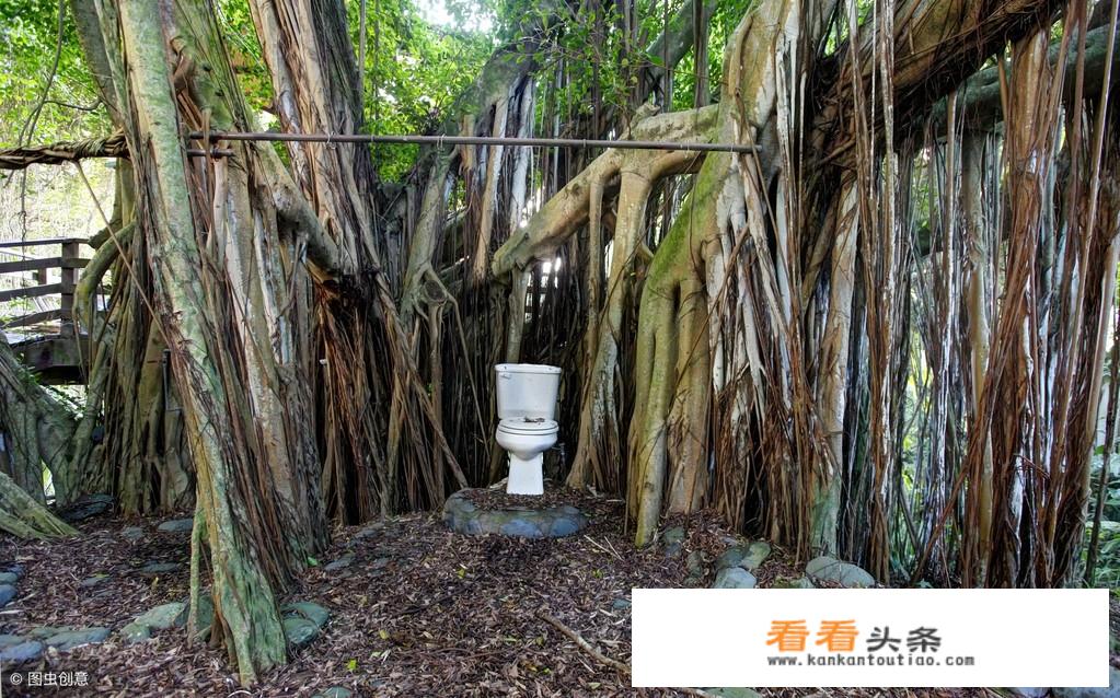 现在农村建设了不少的生态厕所，但大多整日闭门，没有投入使用，如何看待这种现象？