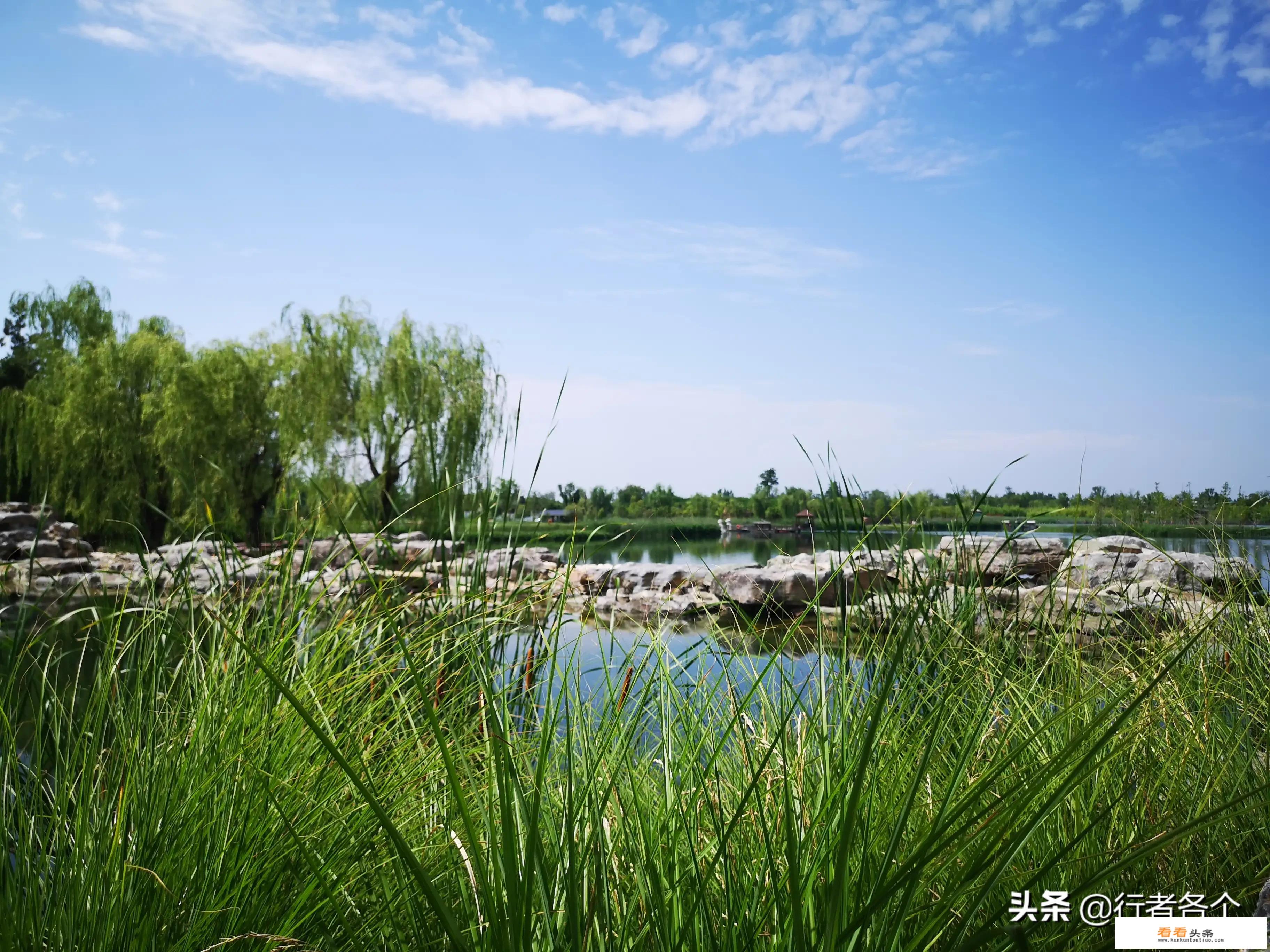 曲江集团在鄠邑区精心打造的渼陂湖景区未来会不会成为新的旅游热点地区？你怎么看？
