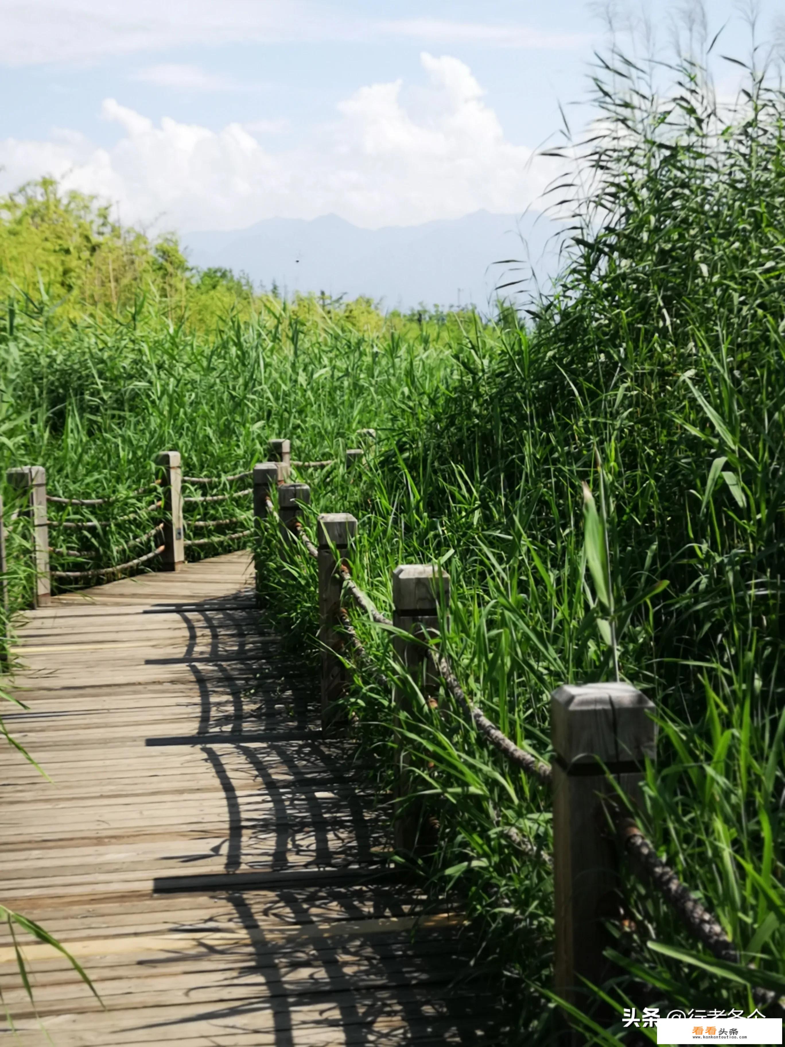 曲江集团在鄠邑区精心打造的渼陂湖景区未来会不会成为新的旅游热点地区？你怎么看？
