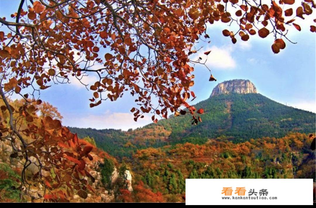 枣庄的旅游景点？