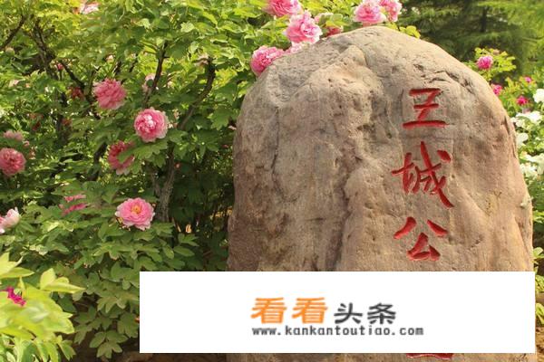 大学生清明放假想去洛阳玩3天，具体的费用和攻略大家有推荐吗？