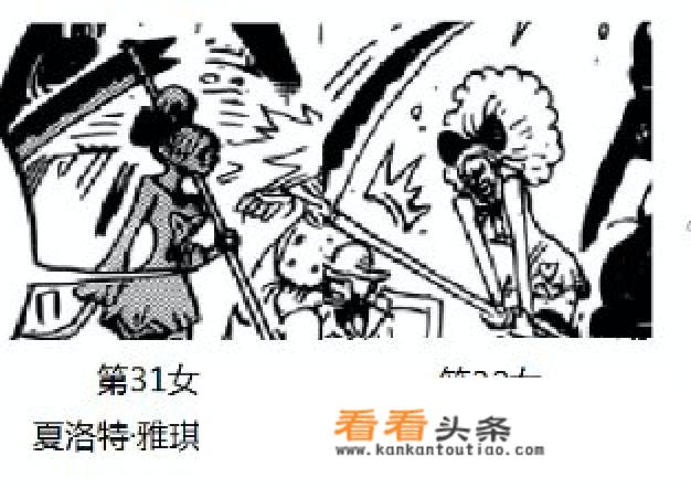 海贼王主角团有几个女生？
