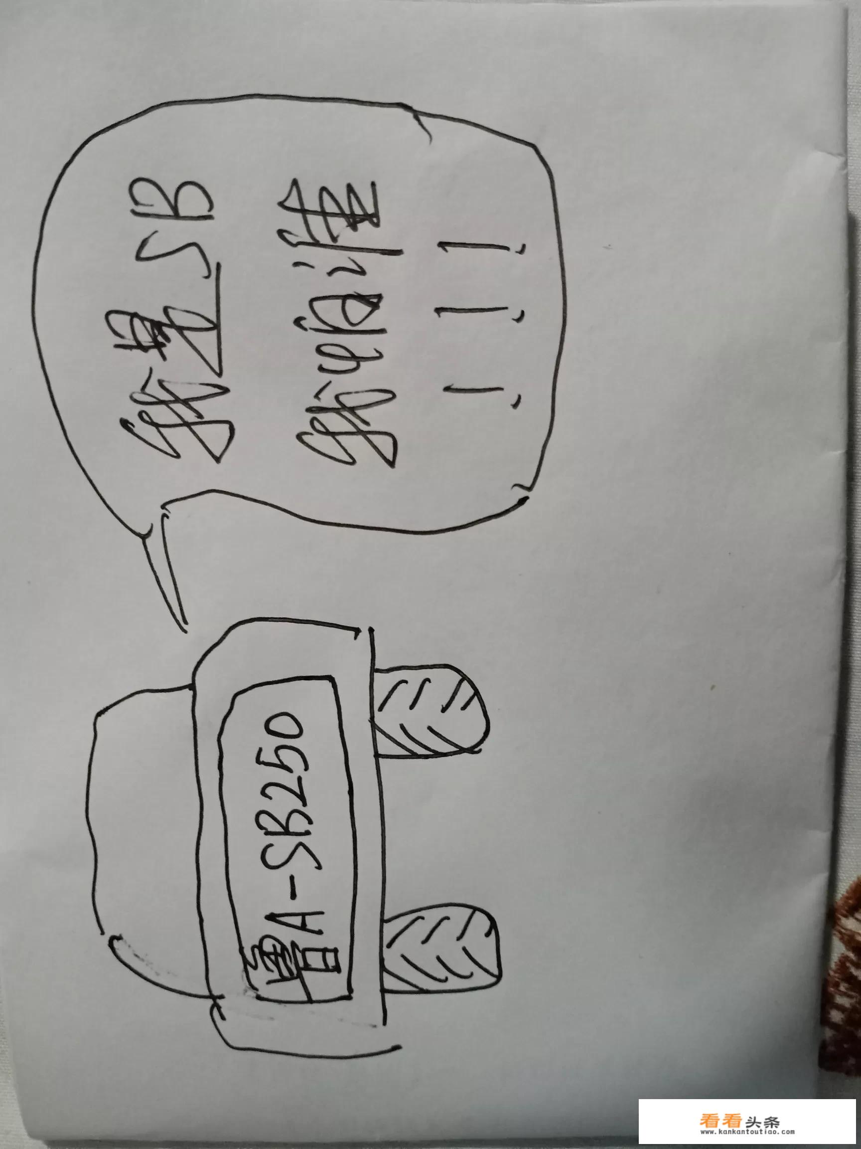 喜欢靓号是共性，我发现这样一个号:SB250，车主怎么想的？