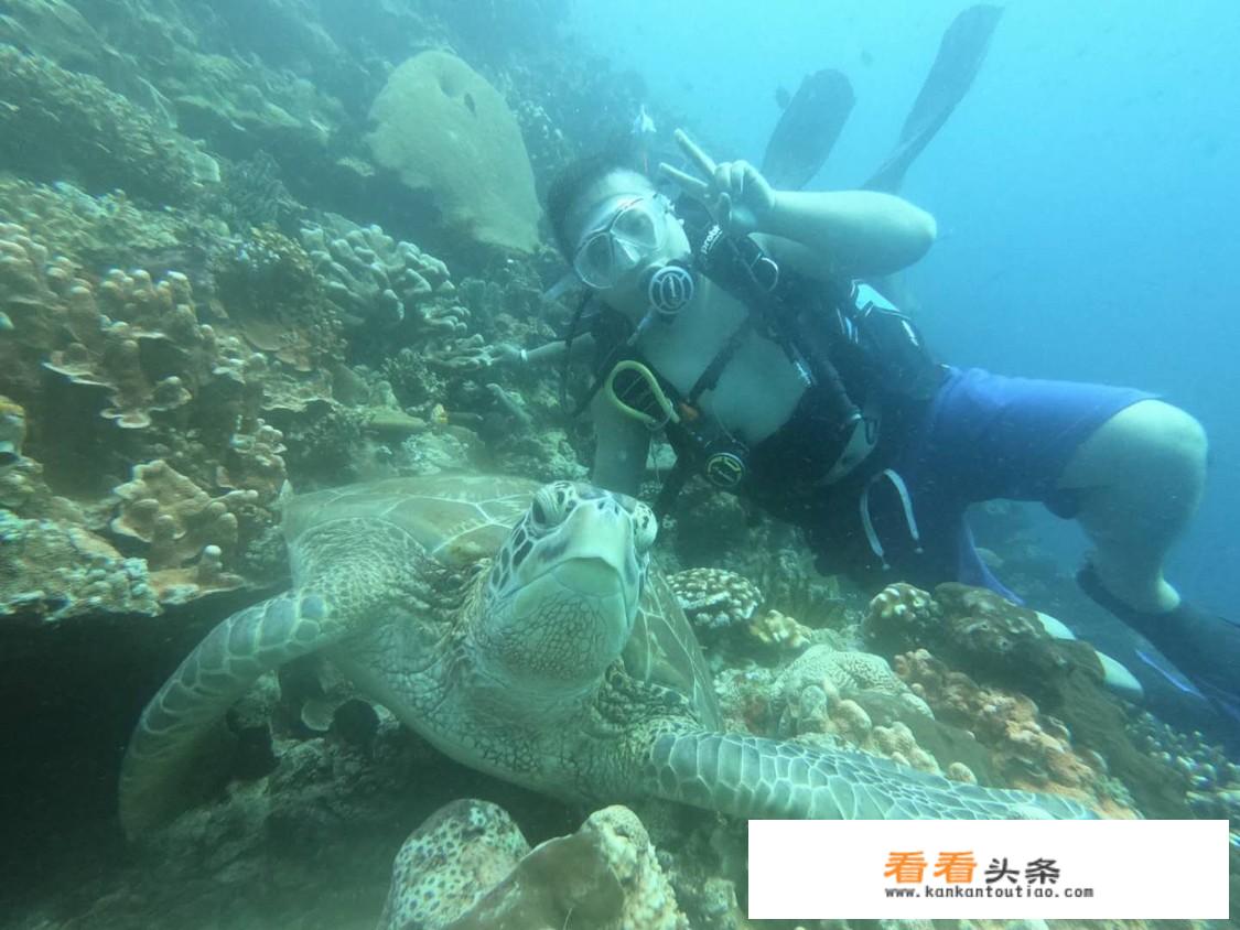 中国潜水游玩项目？