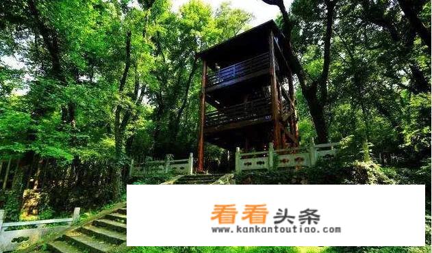 去栖霞山更佳时间？