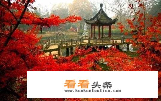 去栖霞山更佳时间？