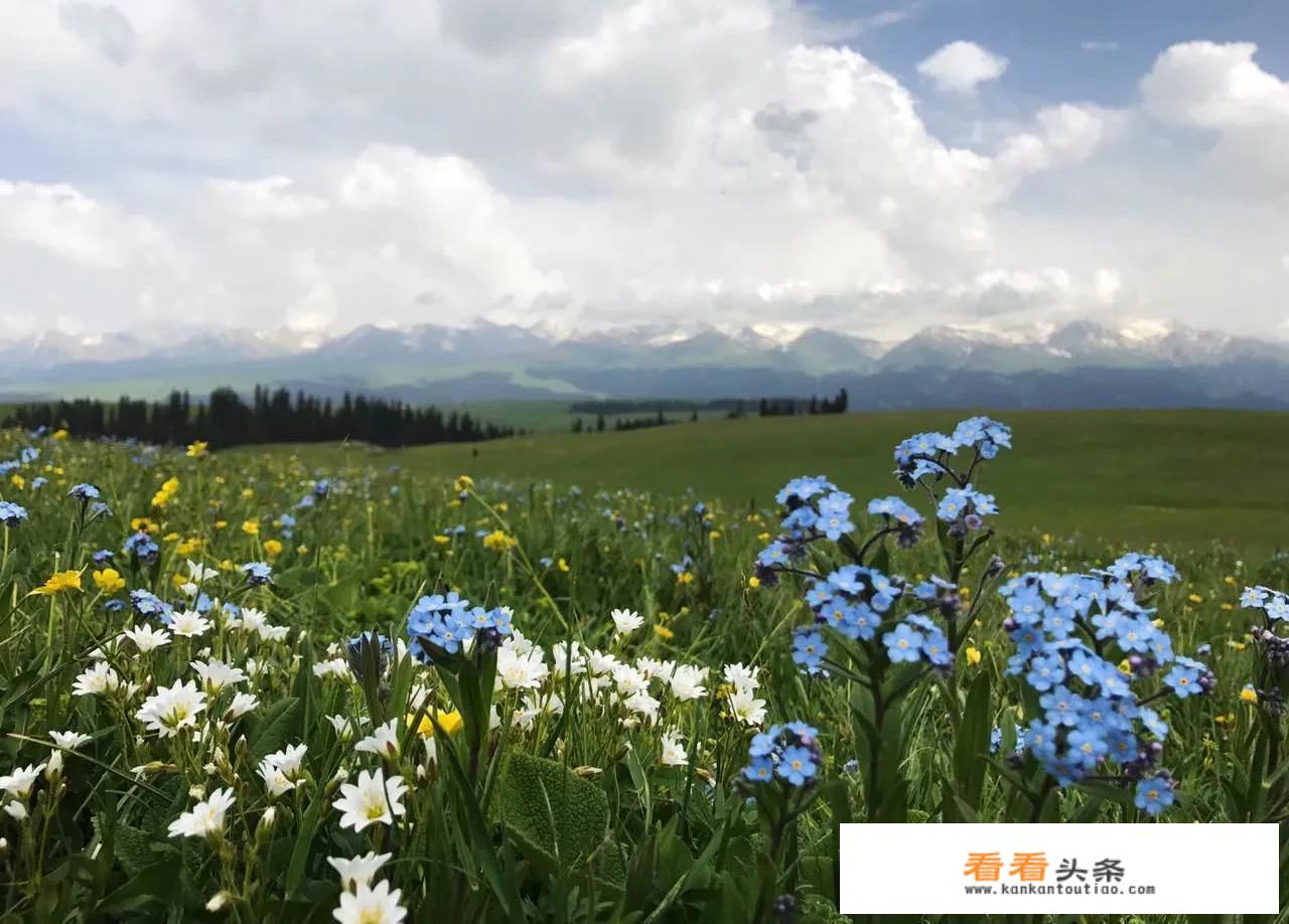 新疆旅游20天线路安排？