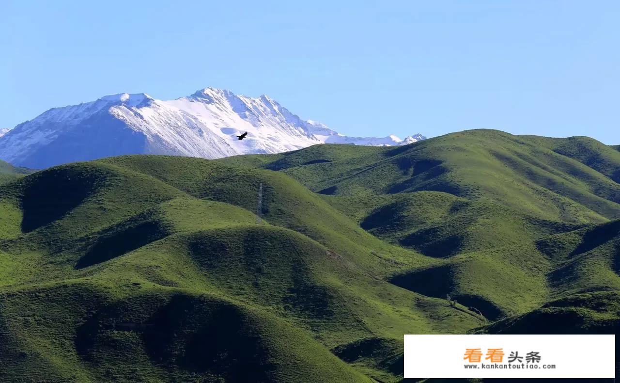 新疆旅游20天线路安排？