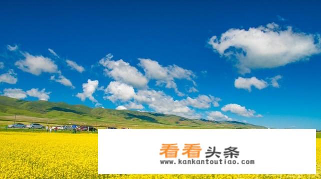 走一趟人人都想去的西北大环线，自驾和包车到底应该如何选择？