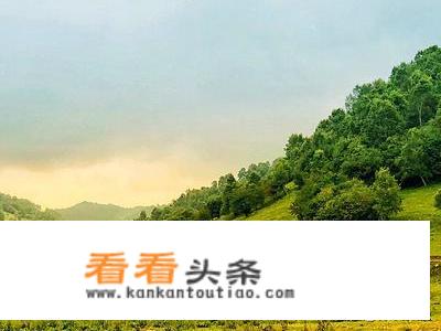 关山牧场出游攻略？