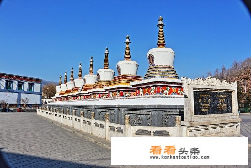 中国旅游集团入职条件？