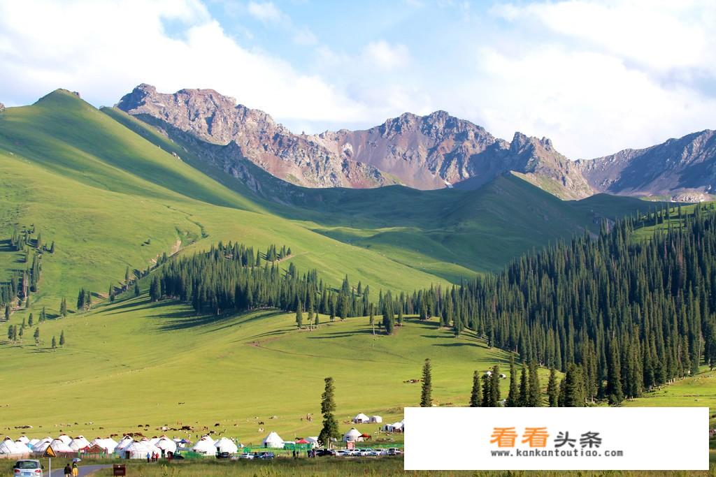 中国旅游集团入职条件？