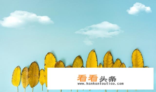 多看文学书有什么好处？
