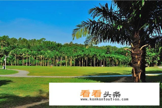 大家一起来说说，你最想去旅游的地方是哪里？
