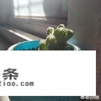 江浙皖最适宜2月旅游的地方？