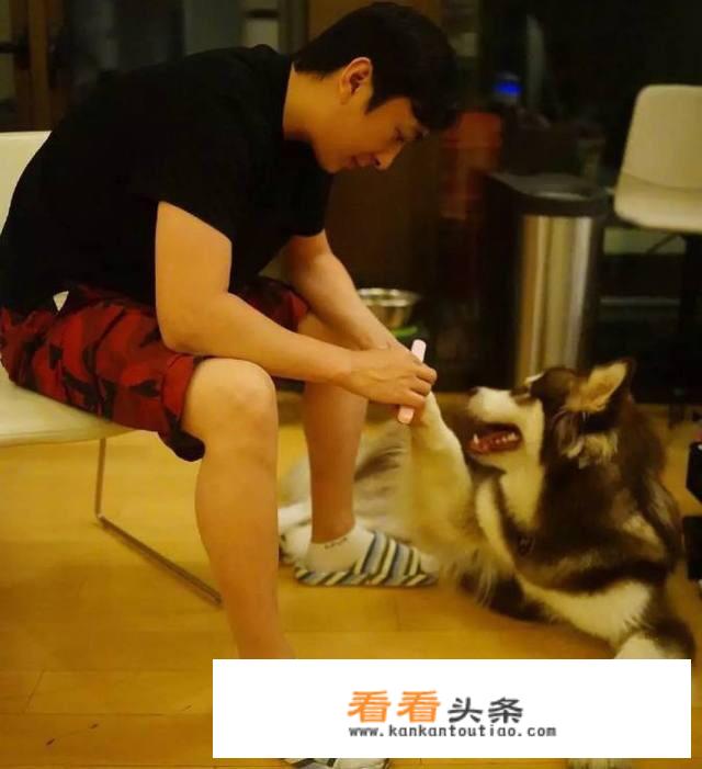 “顶级流量”是个什么概念，有哪些例子？