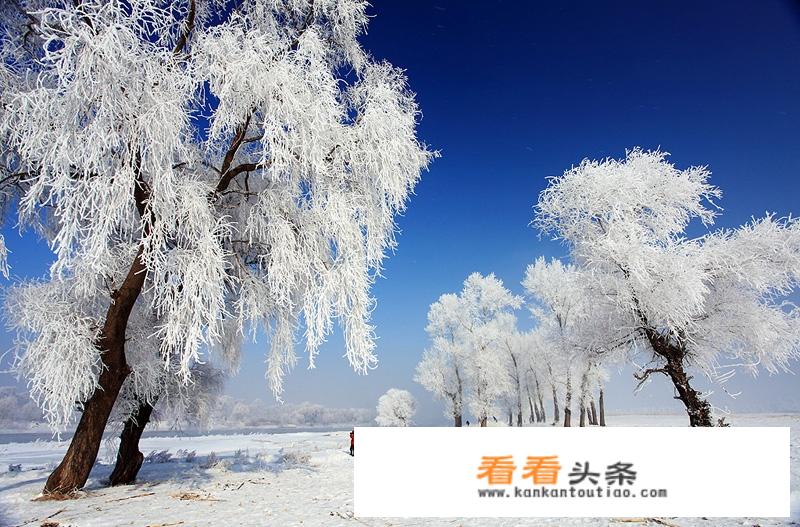 尼康D7500拍风景配什么镜头好？