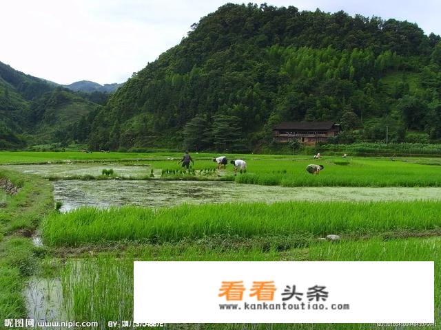 旅游乡村该如何规划？
