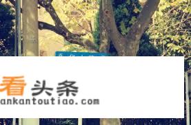 上海有哪些适合文青逛的小巷？